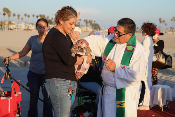 Gesselle Garcia of Long Beach holds Gizmo, her 15-year-old Shi...