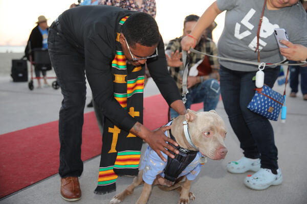A pit bull mix is blessed by The Reverend Kevin...