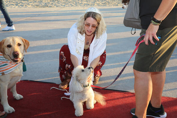 Rabbi Mikal Loving blesses a dog on Sunday, Oct. 2,...