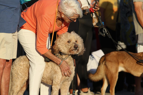 Dogs and their owners turn out on Sunday, Oct. 2,...