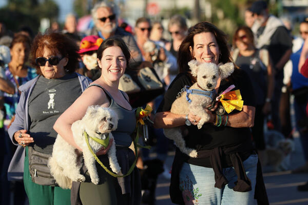 Dogs and their owners turn out on Sunday, Oct. 2,...